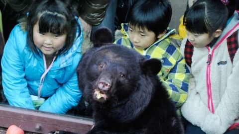 Un grupo de ni&ntilde;os observan a un oso negro en un zool&oacute;gico de Tokio