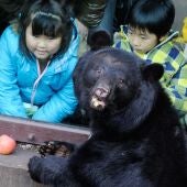 Un grupo de niños observan a un oso negro en un zoológico de Tokio