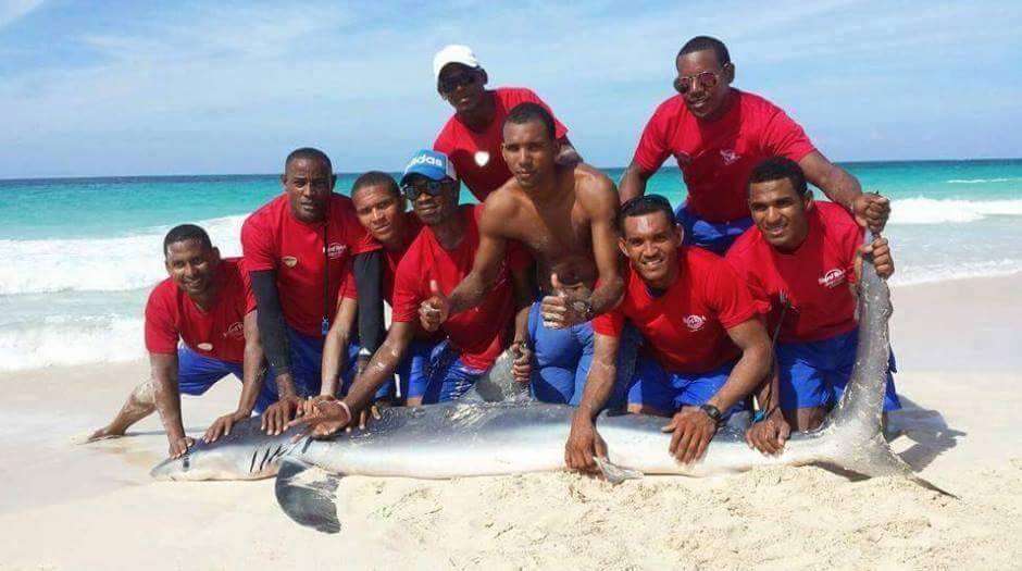 Muere un tiburón en Punta Cana después de que unos turistas le sacaran del mar para hacerse una foto Muere un tiburón en Punta Cana después de que unos turistas le sacaran del mar para hacerse una foto