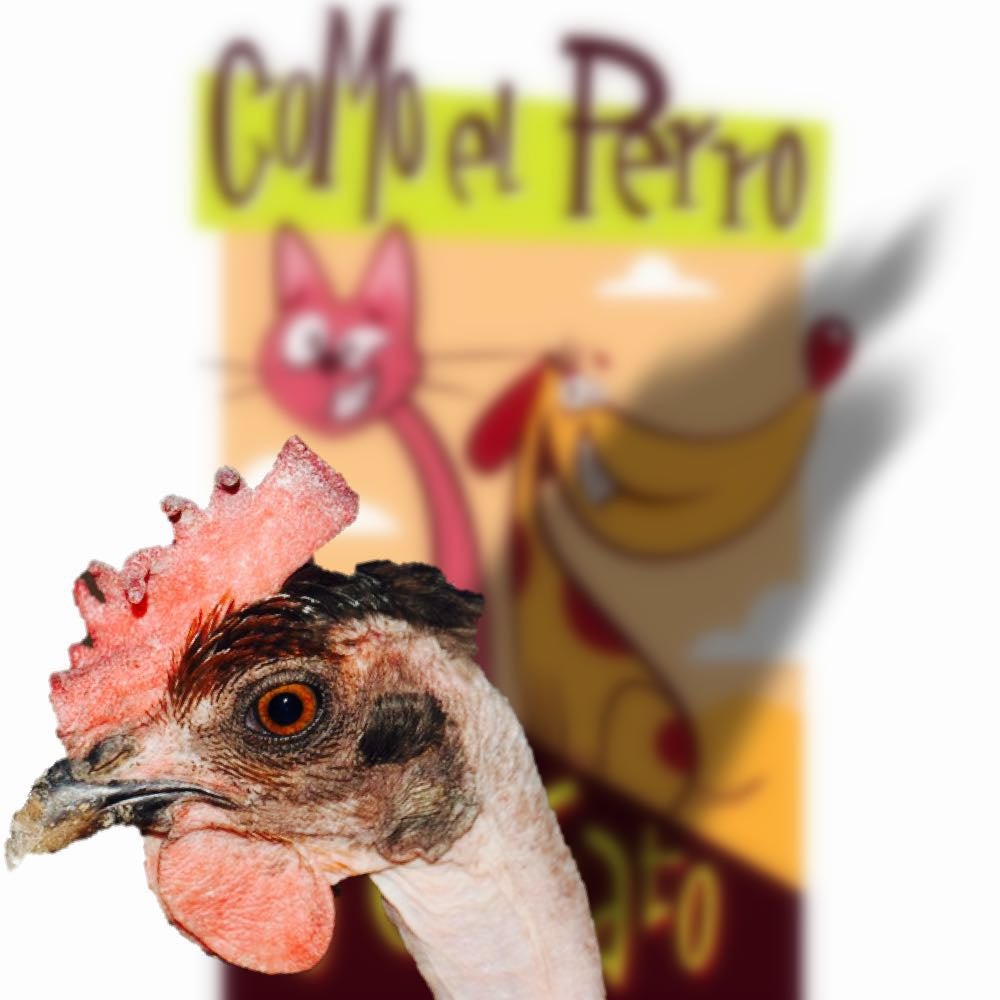 ¿La gallina Turuleca o Turuleta? ¿La gallina Turuleca o Turuleta?