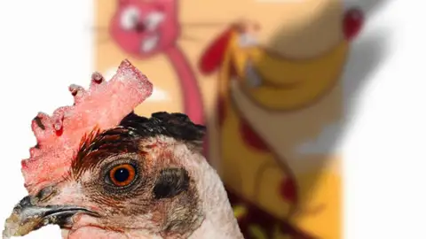 La gallina turuleca La gallina turuleca