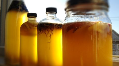 Kombucha, un antirresaca perfecto