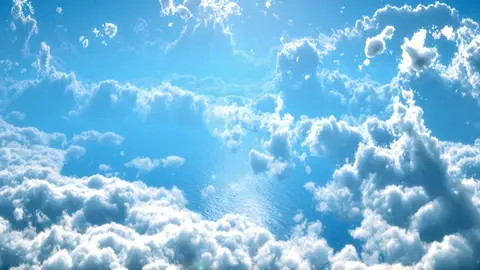 Cielo Cielo
