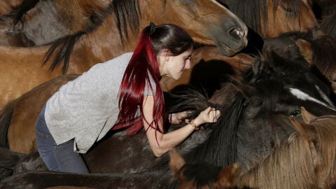 'A Rapa das Bestas' en Pontevedra