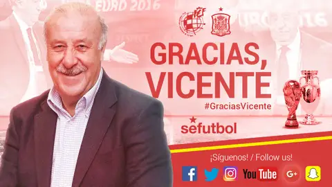 Del Bosque abandona la Roja Del Bosque abandona la Roja