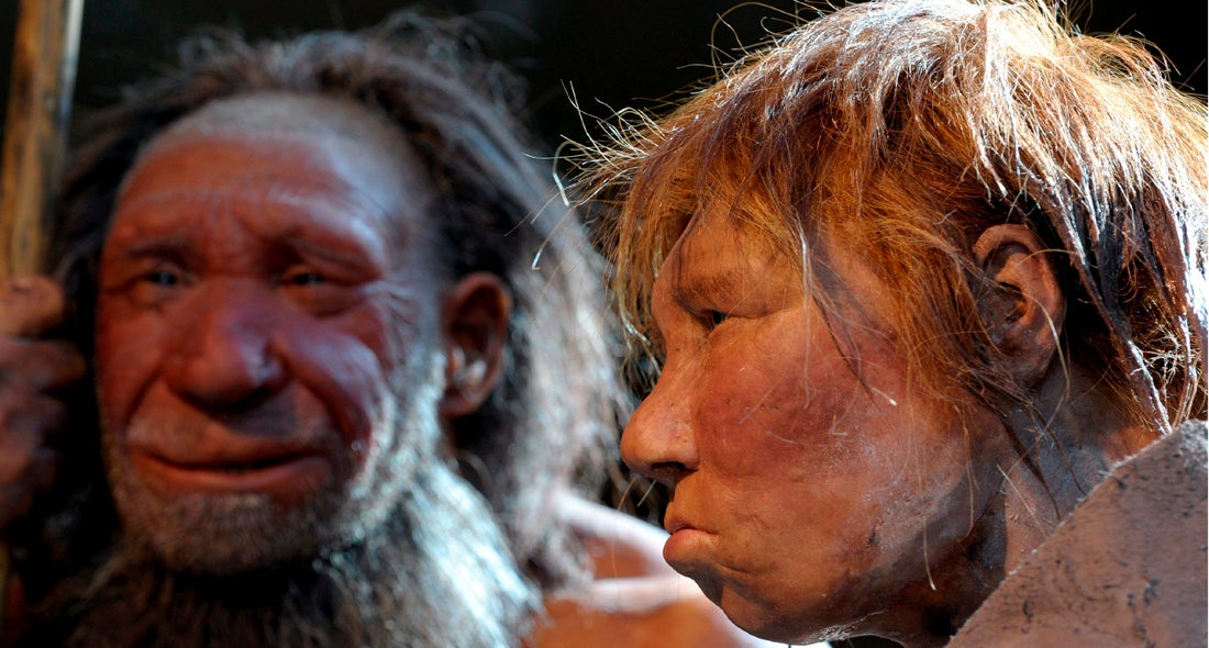 Por qué los neandertales nos ganarían en los Juegos Olímpicos Por qué los neandertales nos ganarían en los Juegos Olímpicos