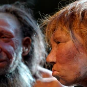 Representación de neandertales Representación de neandertales