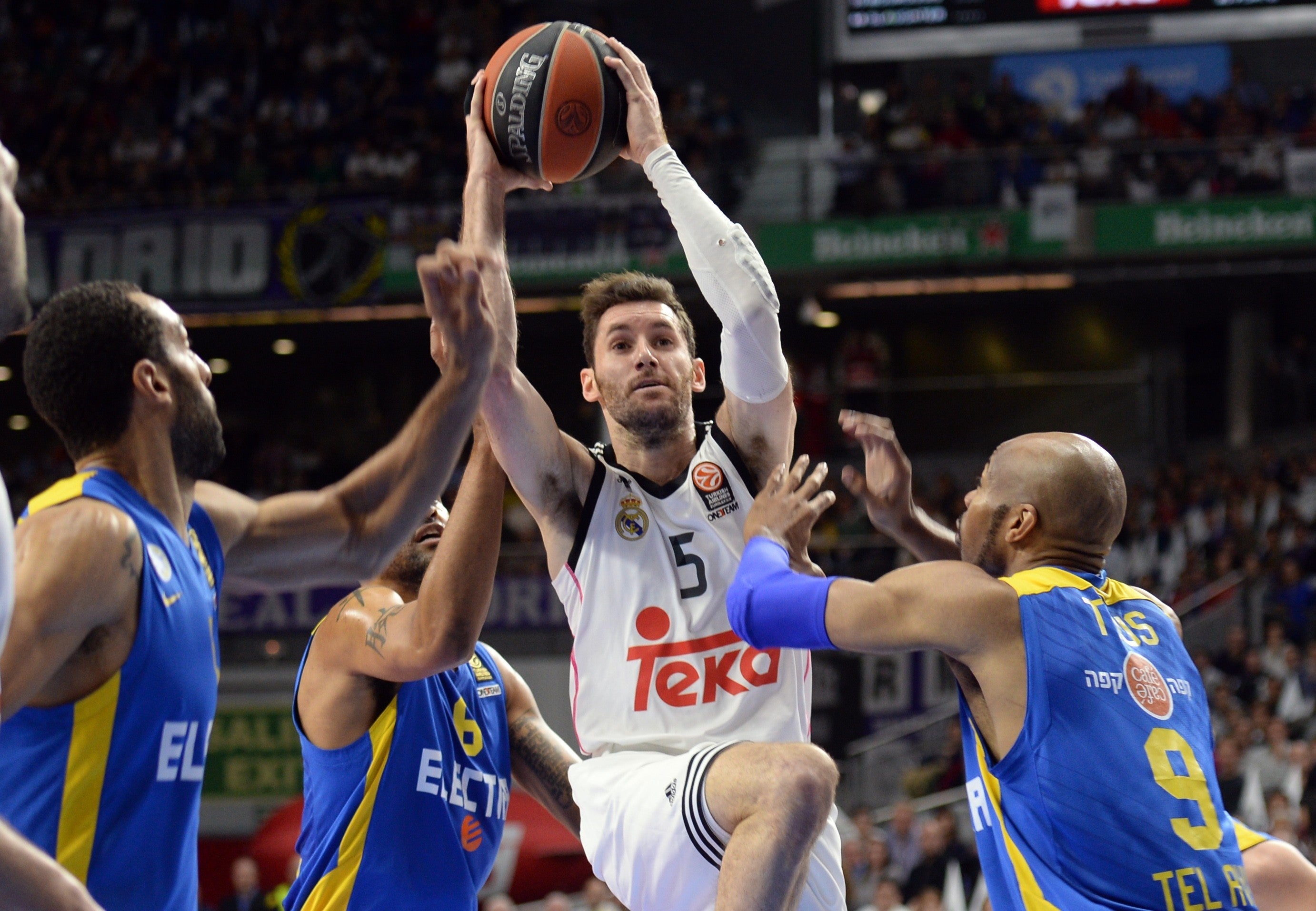 Rudy Fernández, sobre los Sixers: "Ha habido contacto, pero sólo pienso en el Real Madrid" Rudy Fernández, sobre los Sixers: "Ha habido contacto, pero sólo pienso en el Real Madrid"