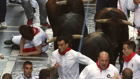 1º encierro | San Fermín 2016 La ganadería Fuente Ymbro participa en los encierros de San Fermín desde 2005