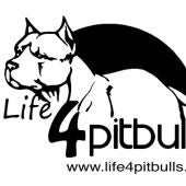 life4pitbulls