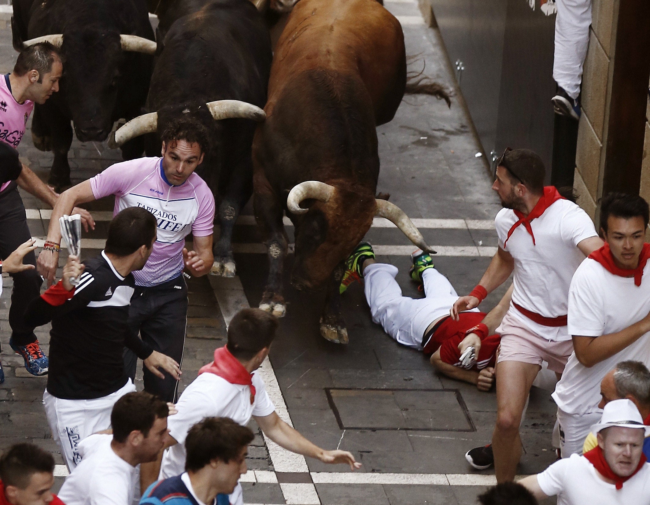 Carrera limpia a gran velocidad de los astados de Jandilla en San Fermín Carrera limpia a gran velocidad de los astados de Jandilla en San Fermín