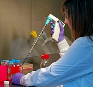 Donantes de médula Donantes de médula