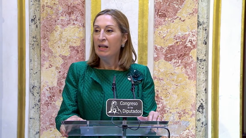 Ana Pastor dará "un tiempo" a Rajoy para que busque apoyos a su investidura Ana Pastor dará "un tiempo" a Rajoy para que busque apoyos a su investidura