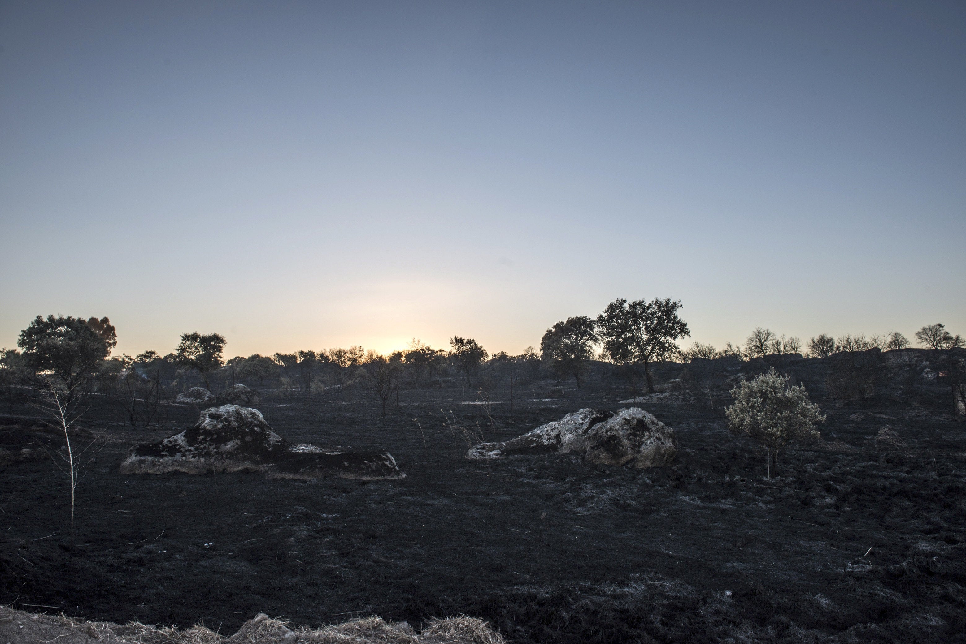 El Plan Infoex ha intervenido en doce incendios forestales en la última semana de junio, donde se han quemado 207 hectáreas El Plan Infoex ha intervenido en doce incendios forestales en la última semana de junio, donde se han quemado 207 hectáreas
