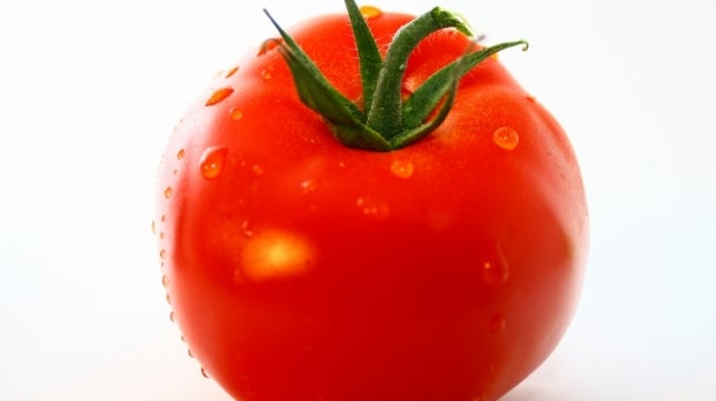 El tomate, la fruta del verano El tomate, la fruta del verano