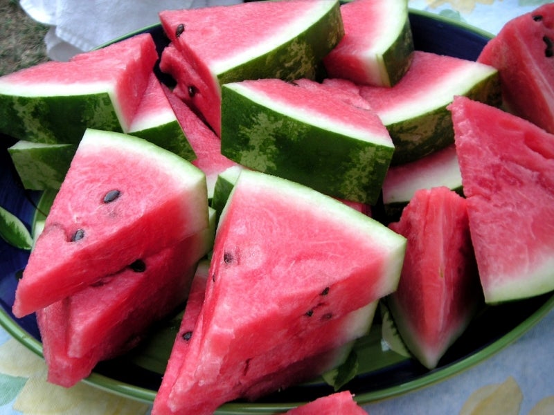 Perros y frutas de verano ¿pueden comerlas? Perros y frutas de verano ¿pueden comerlas?
