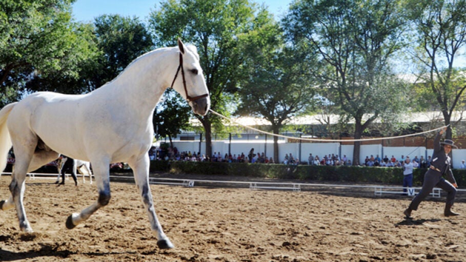 Feria de Zafra