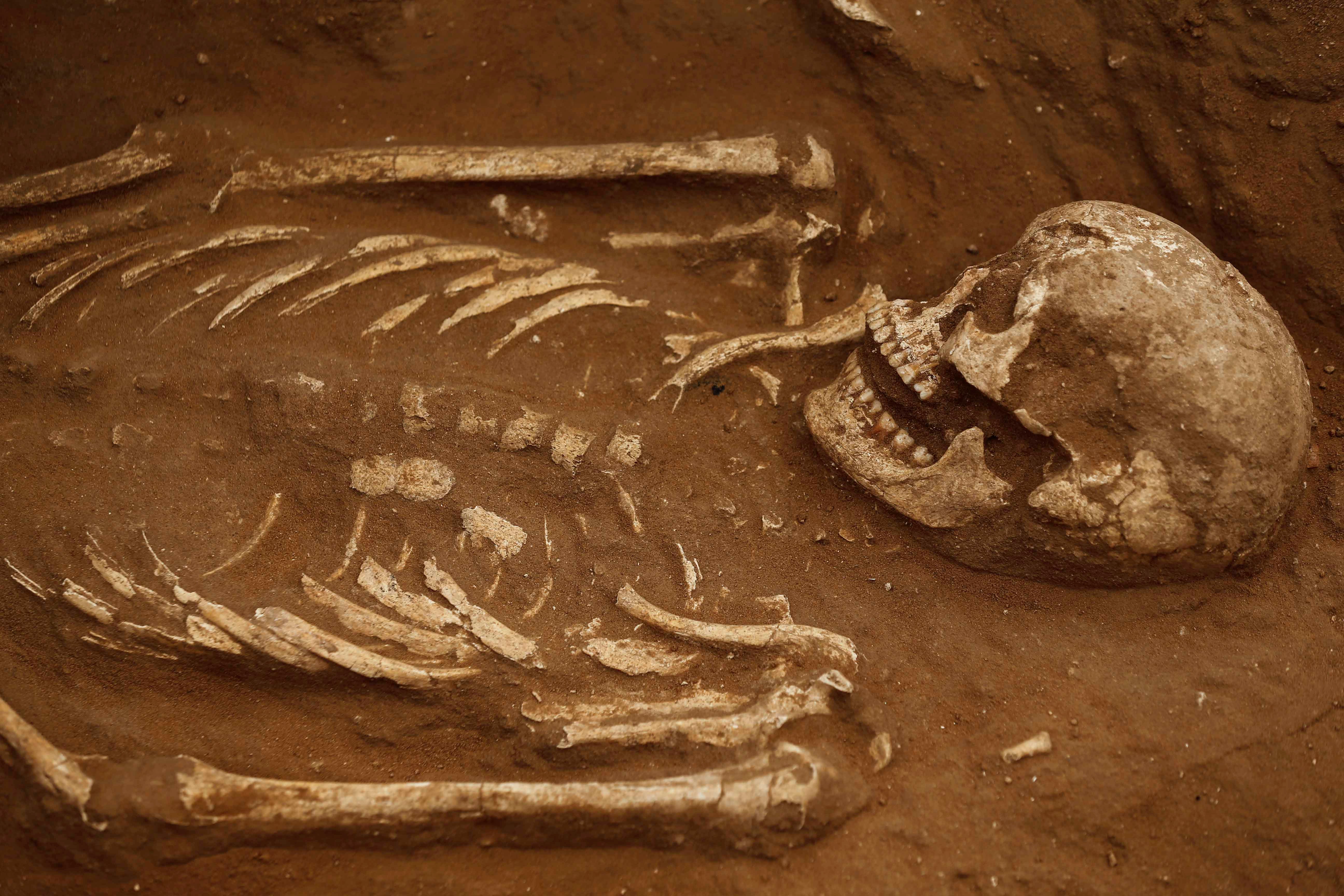 Arqueólogos griegos encuentran 80 esqueletos maniatados que podrían datar del siglo VII A.C. Arqueólogos griegos encuentran 80 esqueletos maniatados que podrían datar del siglo VII A.C.