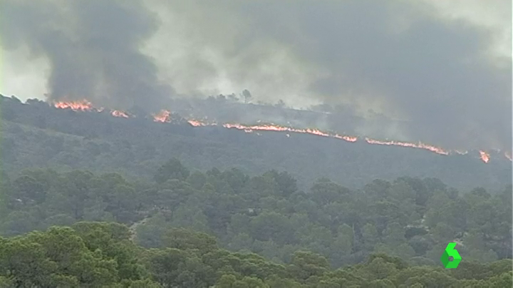 El tratamiento de reforestación en los primeros meses tras un incendio es clave para su regeneración El tratamiento de reforestación en los primeros meses tras un incendio es clave para su regeneración