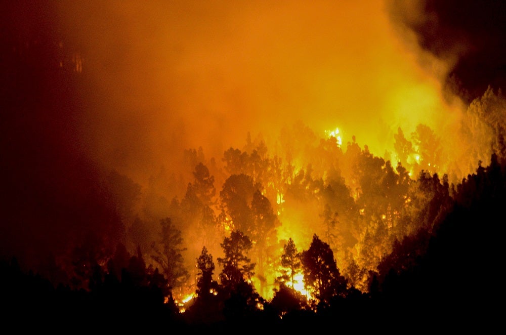 La portavoz de la Campaña contra Incendios de WWF: "El enfoque de la política en la lucha contra incendios está desviado en España" La portavoz de la Campaña contra Incendios de WWF: "El enfoque de la política en la lucha contra incendios está desviado en España"