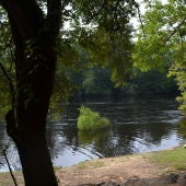 Río Edisto, en Carolina del Sur