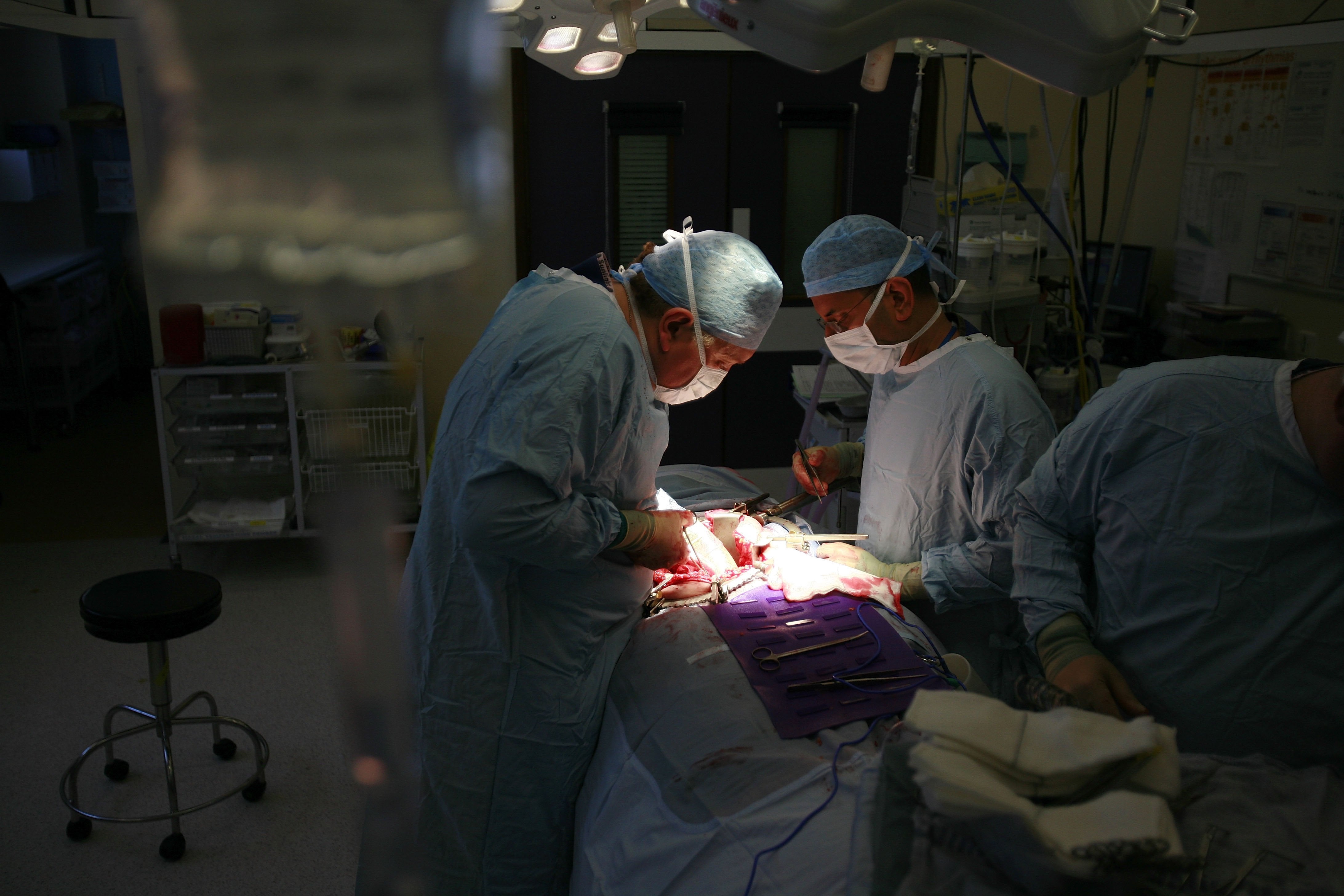 Donación de riñón en Málaga: un diálogo entre pacientes y sanitarios Donación de riñón en Málaga: un diálogo entre pacientes y sanitarios