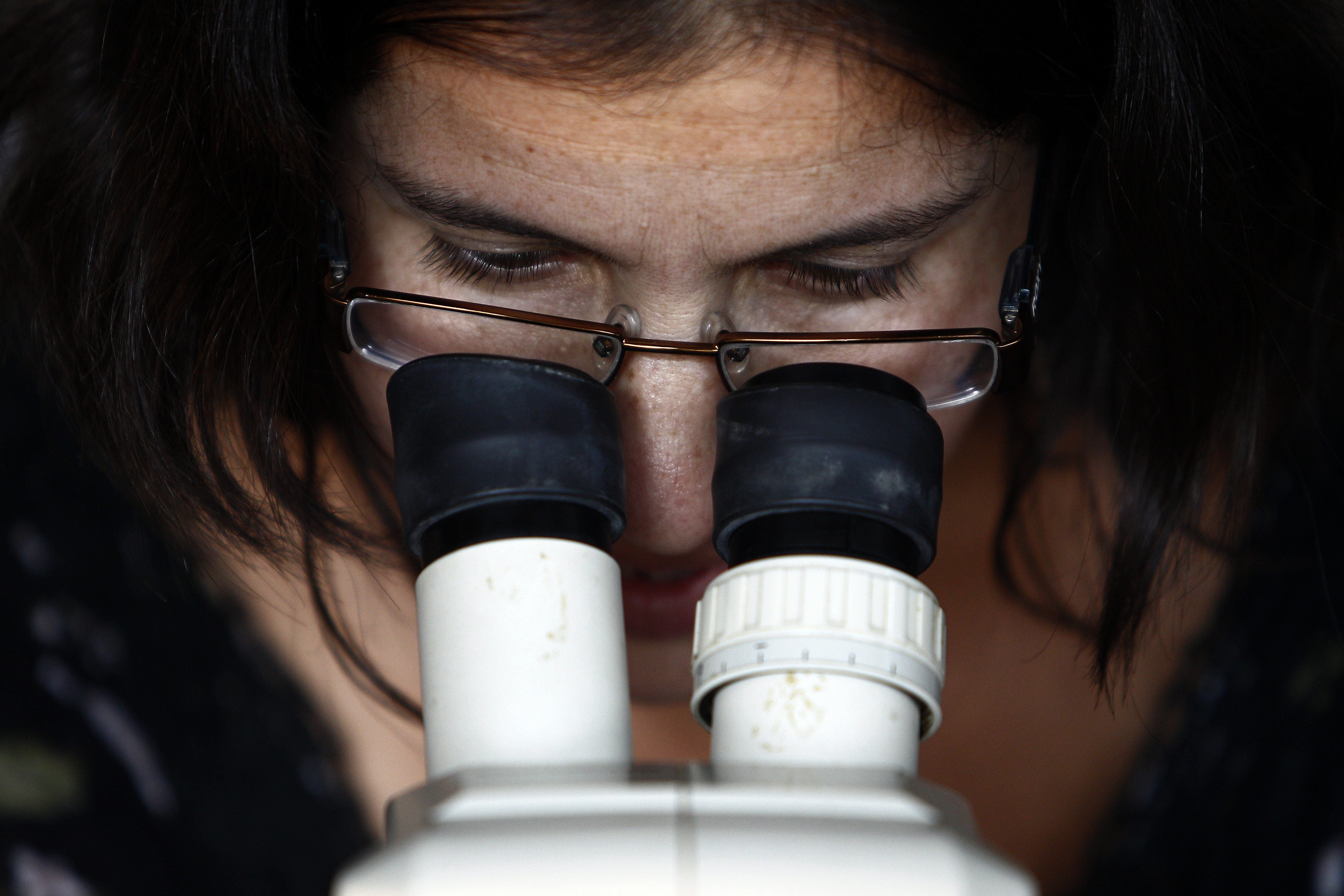 El descubrimiento de un calamar morado revoluciona el mundo científico El descubrimiento de un calamar morado revoluciona el mundo científico