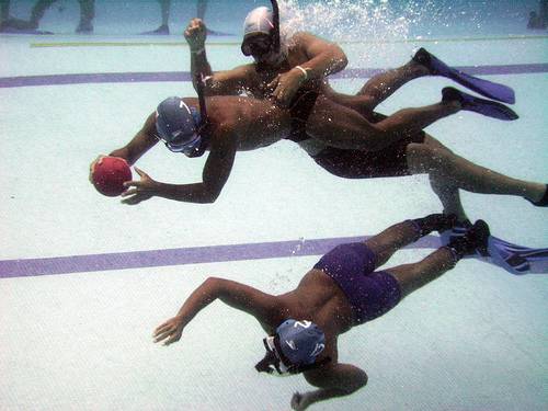 Descubrimos algunos de los deportes más curiosos del mundo Descubrimos algunos de los deportes más curiosos del mundo