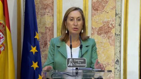 Ana Pastor