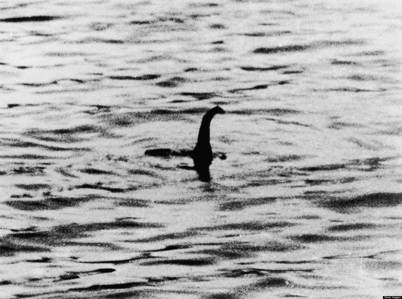 Un equipo de científicos se propone "confirmar" la existencia del monstruo del lago Ness Un equipo de científicos se propone "confirmar" la existencia del monstruo del lago Ness