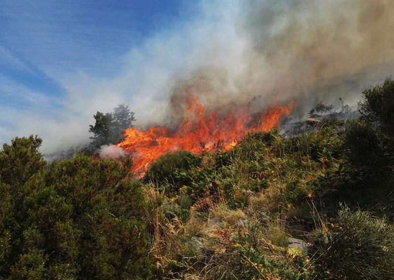 La Guardia Civil imputó en 2023 a diez personas por provocar incendios en Extremadura La Guardia Civil imputó en 2023 a diez personas por provocar incendios en Extremadura