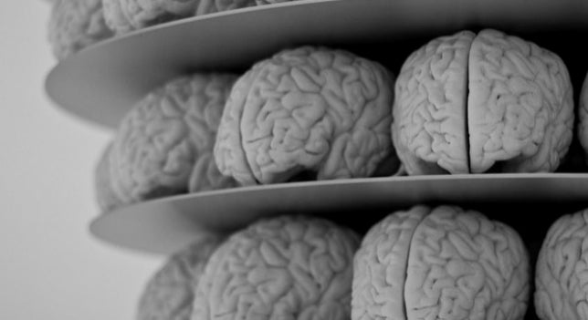 Eureka: Los 4 cerebros de los seres humanos Eureka: Los 4 cerebros de los seres humanos