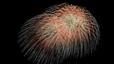 Fuegos artificiales Fuegos artificiales