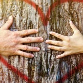 Dos manos, un corazón y un tronco