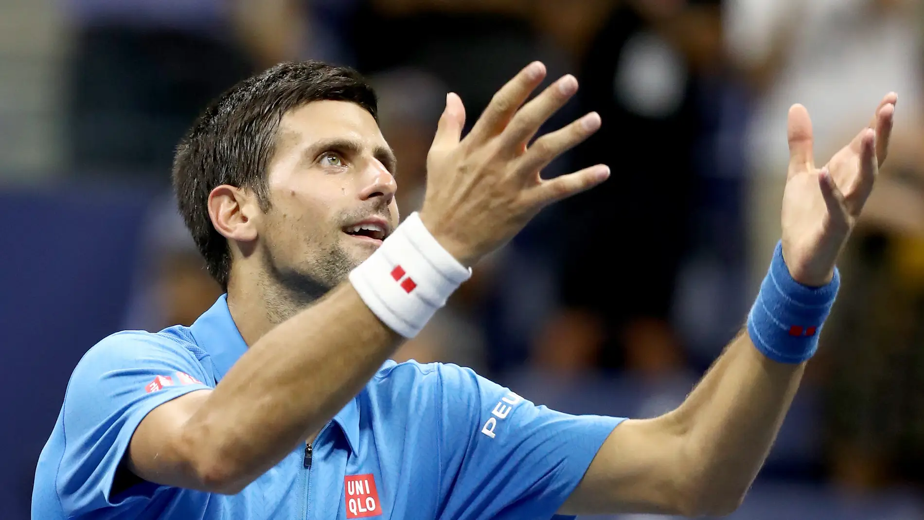 Djokovic celebrando su triunfo ante Janowicz en el US Open Djokovic celebrando su triunfo ante Janowicz en el US Open