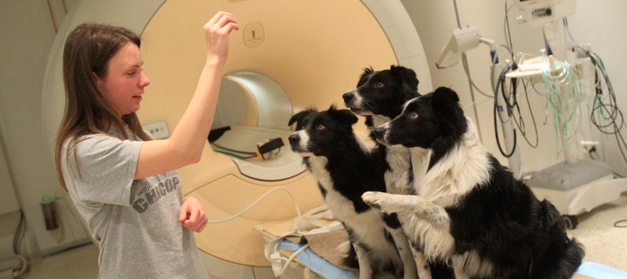 Dora Kettinger habla con sus perros después del examen de los Clincs neurológicos en Budapest Dora Kettinger habla con sus perros después del examen de los Clincs neurológicos en Budapest