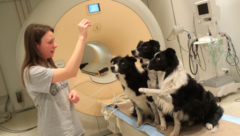 Dora Kettinger habla con sus perros después del examen de los Clincs neurológicos en Budapest