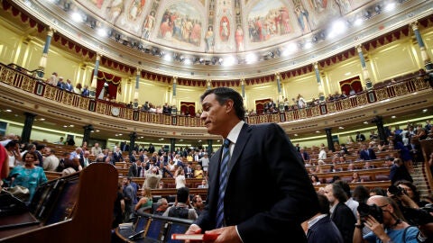Pedro S&aacute;nchez
