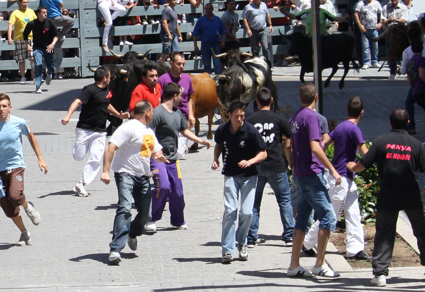 La Junta Local de Fiestas apuesta por los hierros autóctonos para el concurso de ganaderías de octubre La Junta Local de Fiestas apuesta por los hierros autóctonos para el concurso de ganaderías de octubre