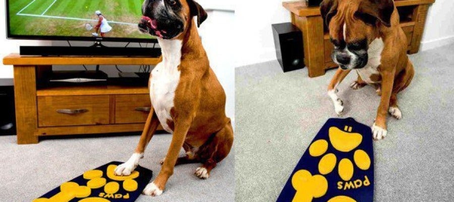 Mando a distancia para perros Mando a distancia para perros