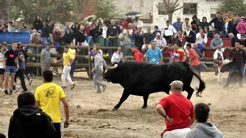 El Toro de la Peña en Tordesillas El Toro de la Peña en Tordesillas