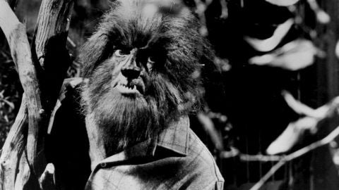 De d&oacute;nde surge el mito del 'hombre lobo'