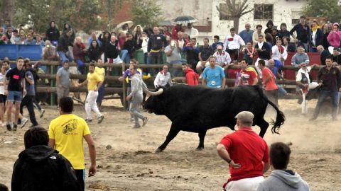  El morlaco de nombre "Pelado" protagoniza la celebraci&oacute;n del Toro de la Pe&ntilde;a, en Tordesillas (Valladolid), sustituto del prohibido Toro de la Vega