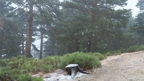 Nieve en septiembre en Navacerrada Nieve en septiembre en Navacerrada