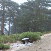 Nieve en septiembre en Navacerrada