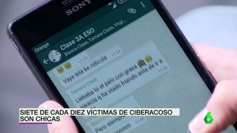 Frame 19.022417 de: Uno de cada cuatro casos de acoso escolar se comete a trav&eacute;s Internet y las nuevas tecnolog&iacute;as 