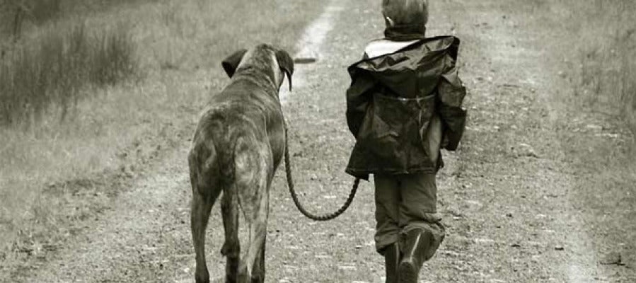 Niño paseando por un perro Niño paseando por un perro