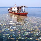 Mar Mediterráneo contaminado