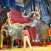 Circo con animales