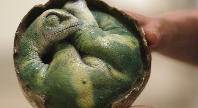 Hallan un embrión de dinosaurio perfectamente conservado en una extraña postura Hallan un embrión de dinosaurio perfectamente conservado en una extraña postura